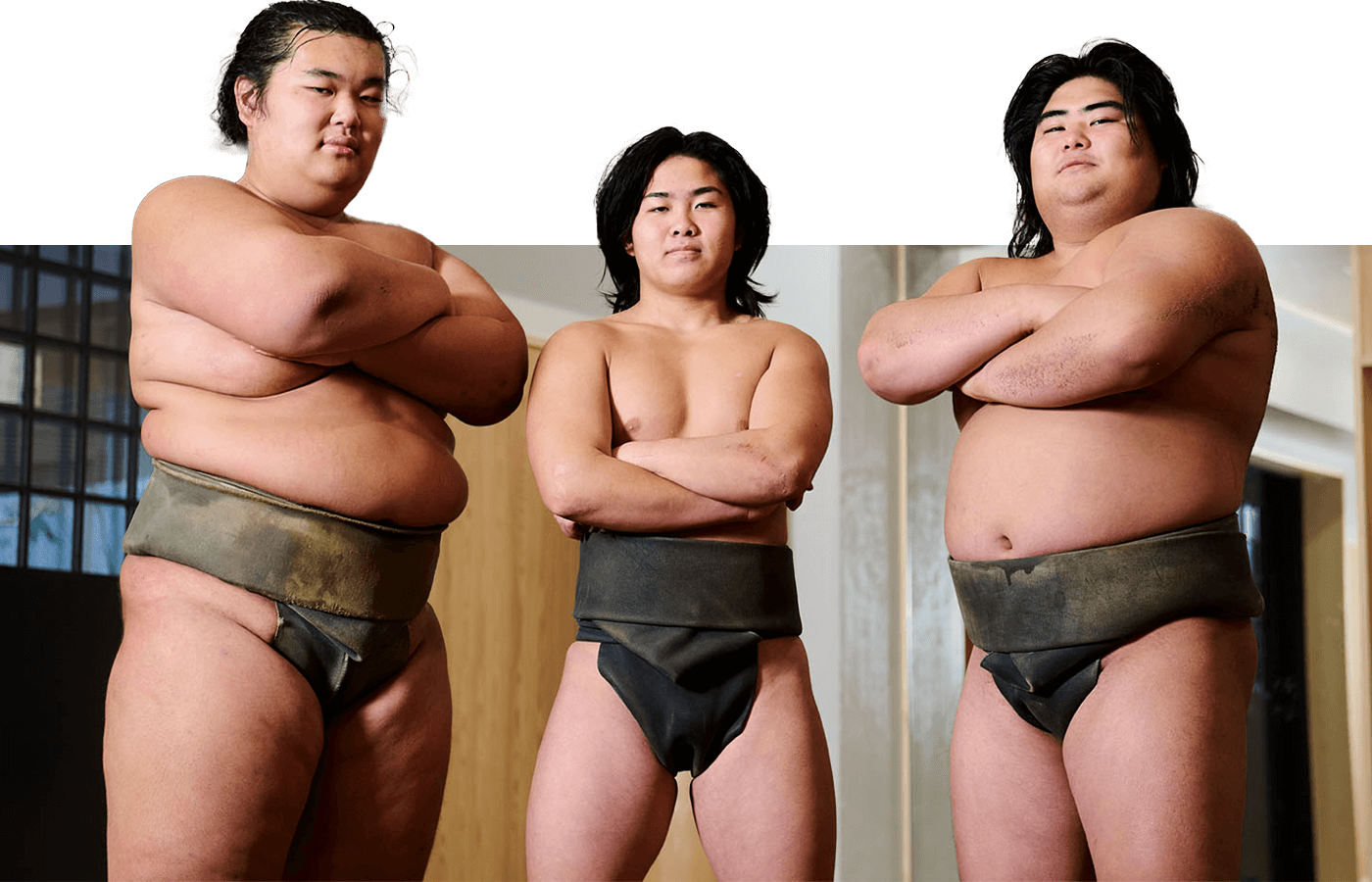 所属力士