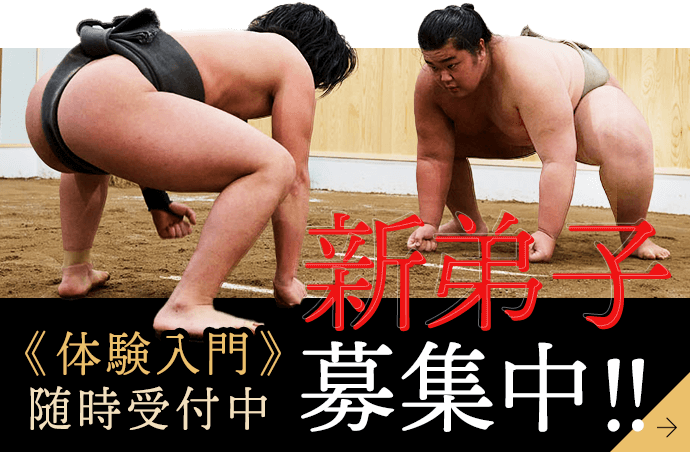 新弟子募集中！！