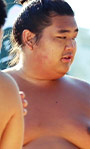 菊琉峰 信梧