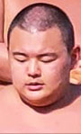 出野